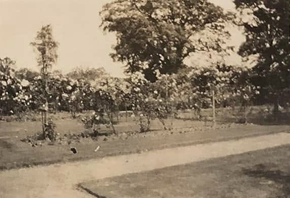 The Rectory Garden 1928